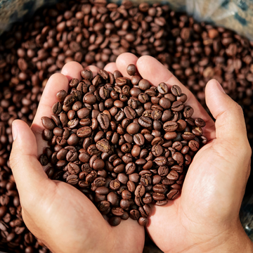 Which coffee beans are the best?