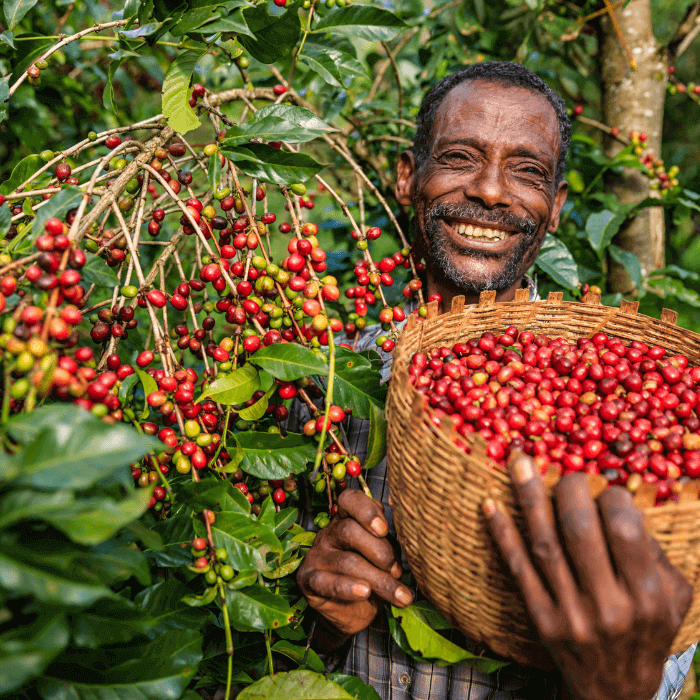 African Coffee