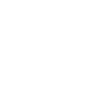 icon star