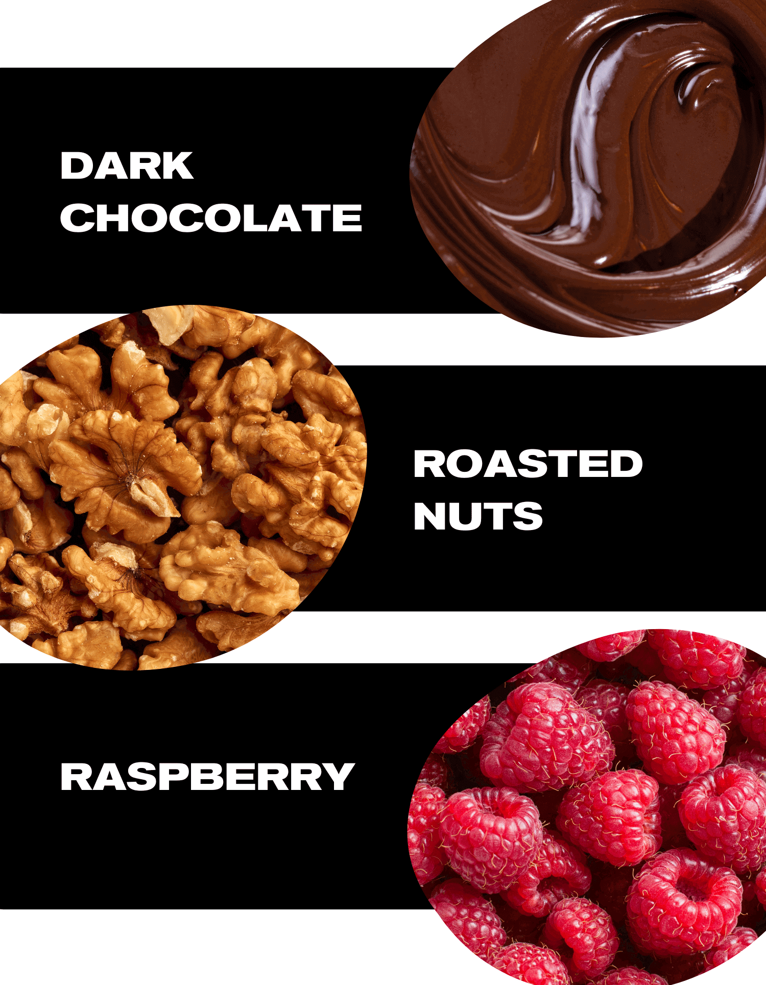 Espresso Fino Blend Tasting Notes - Dark Chocolate, Roasted Nuts, Raspberry