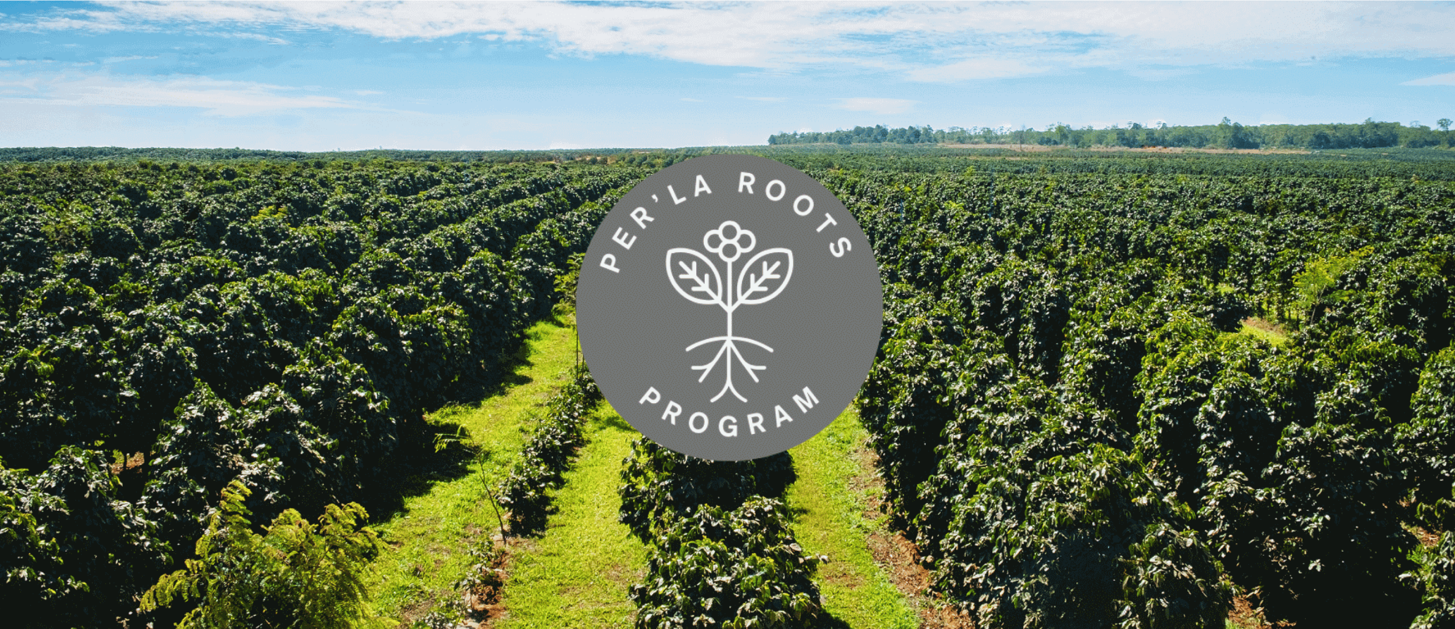 Logo Per'La Roots Program