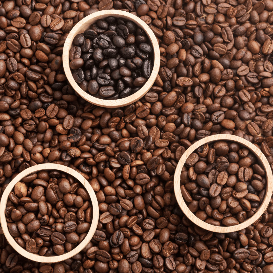 Types of Coffee Beans: Arabica vs Robusta
