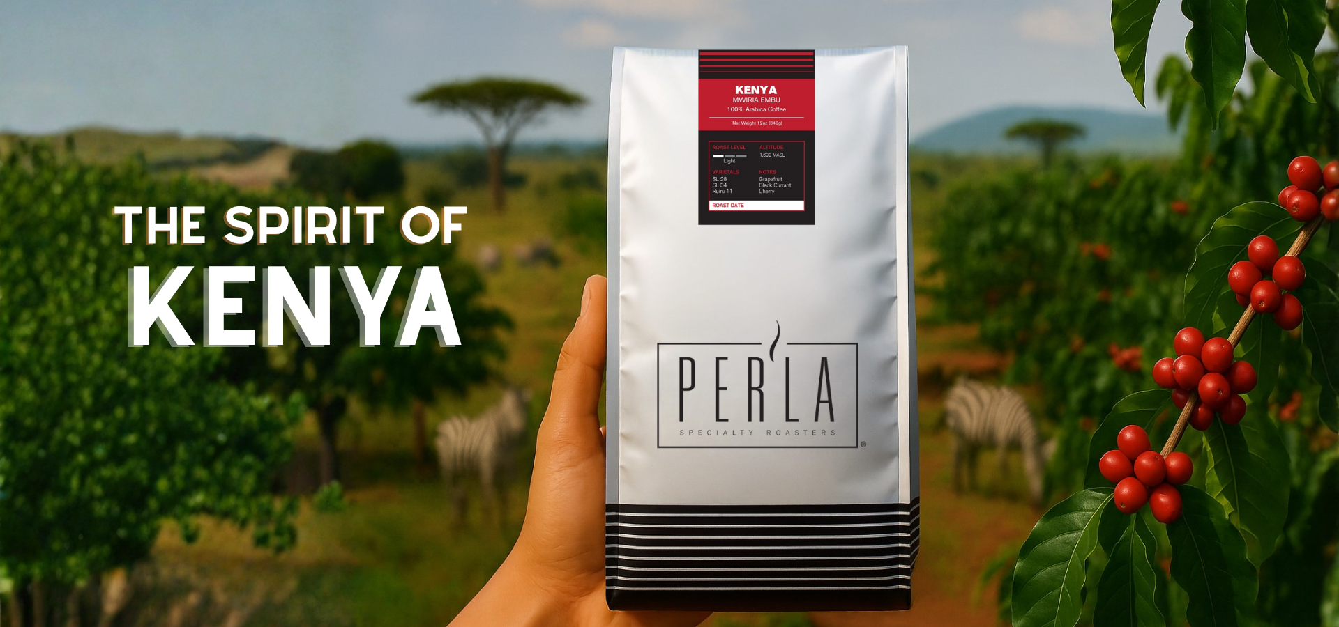 slider image slider_item_pWQqtz