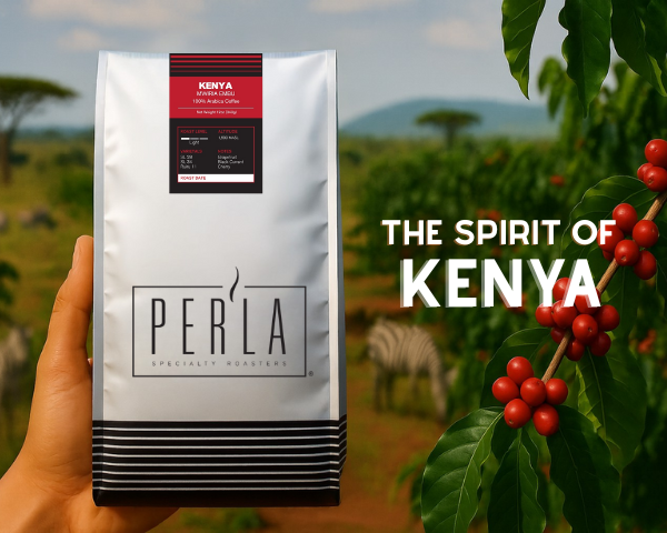 slider image slider_item_pWQqtz