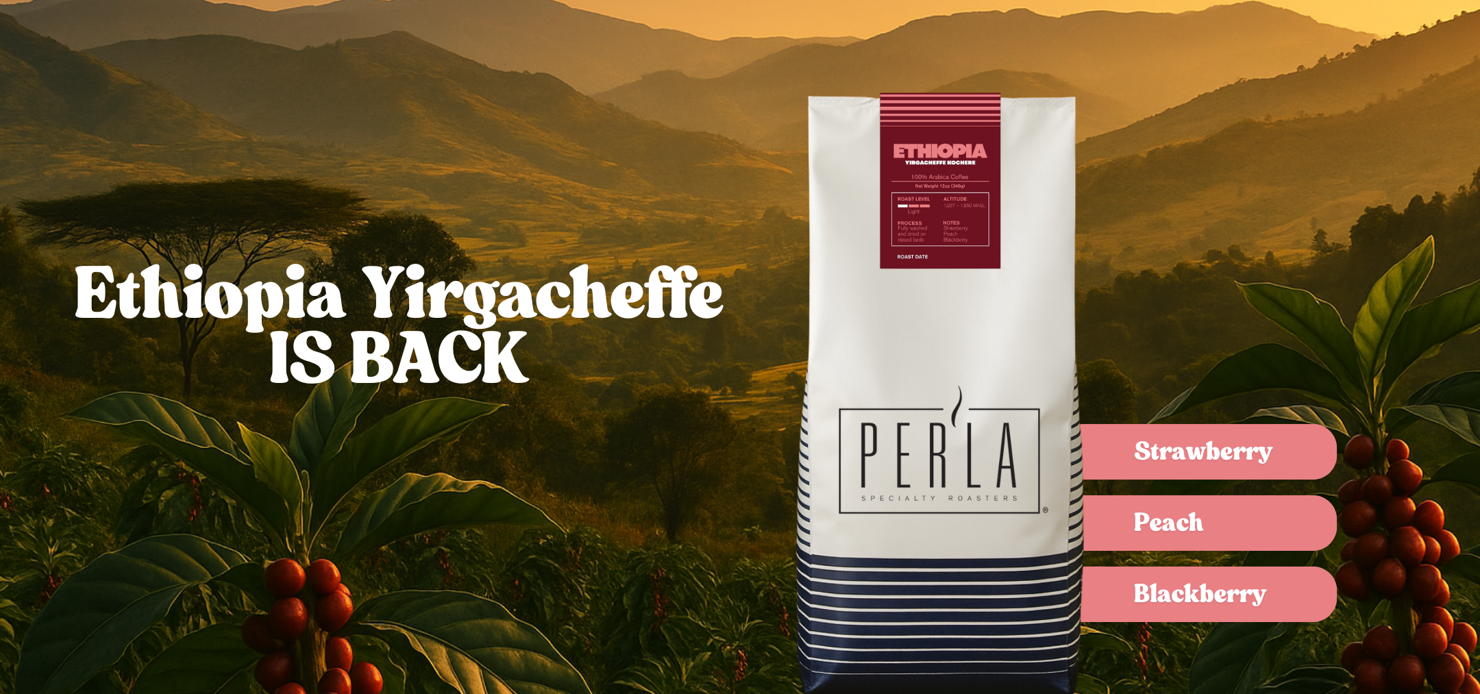 slider image slider_item_Br6wkU