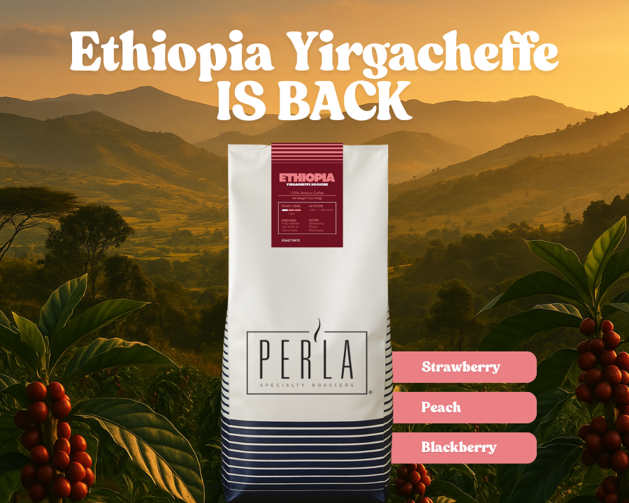 slider image slider_item_Br6wkU