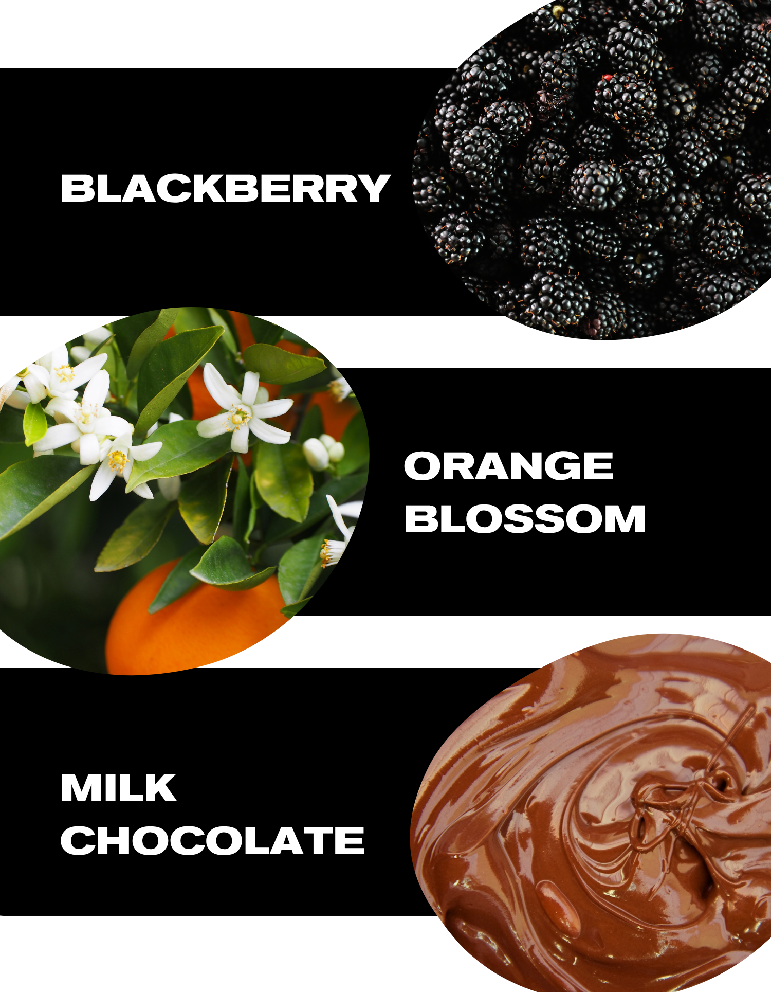 Blackberry Orange Blossom Milk Chocolate - Coffee Notes