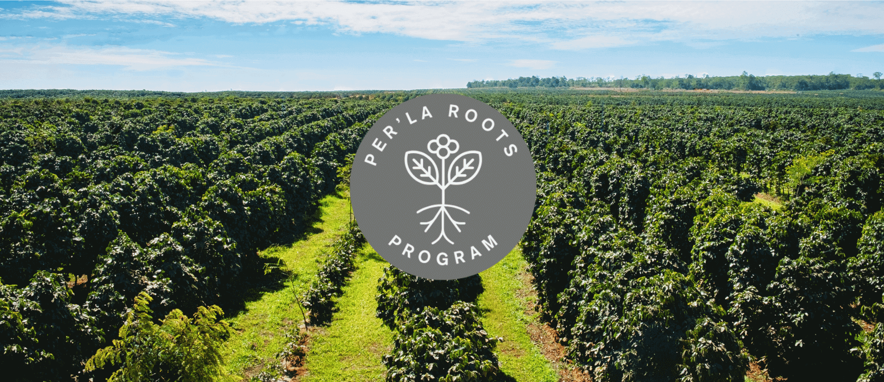 Logo Per'La Roots Program 